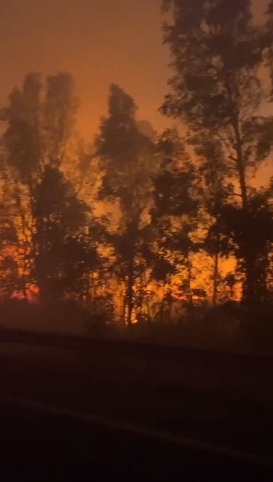 אחת מזירות השריפה בצפון