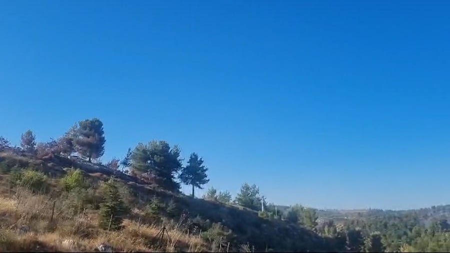 השריפה בצפון