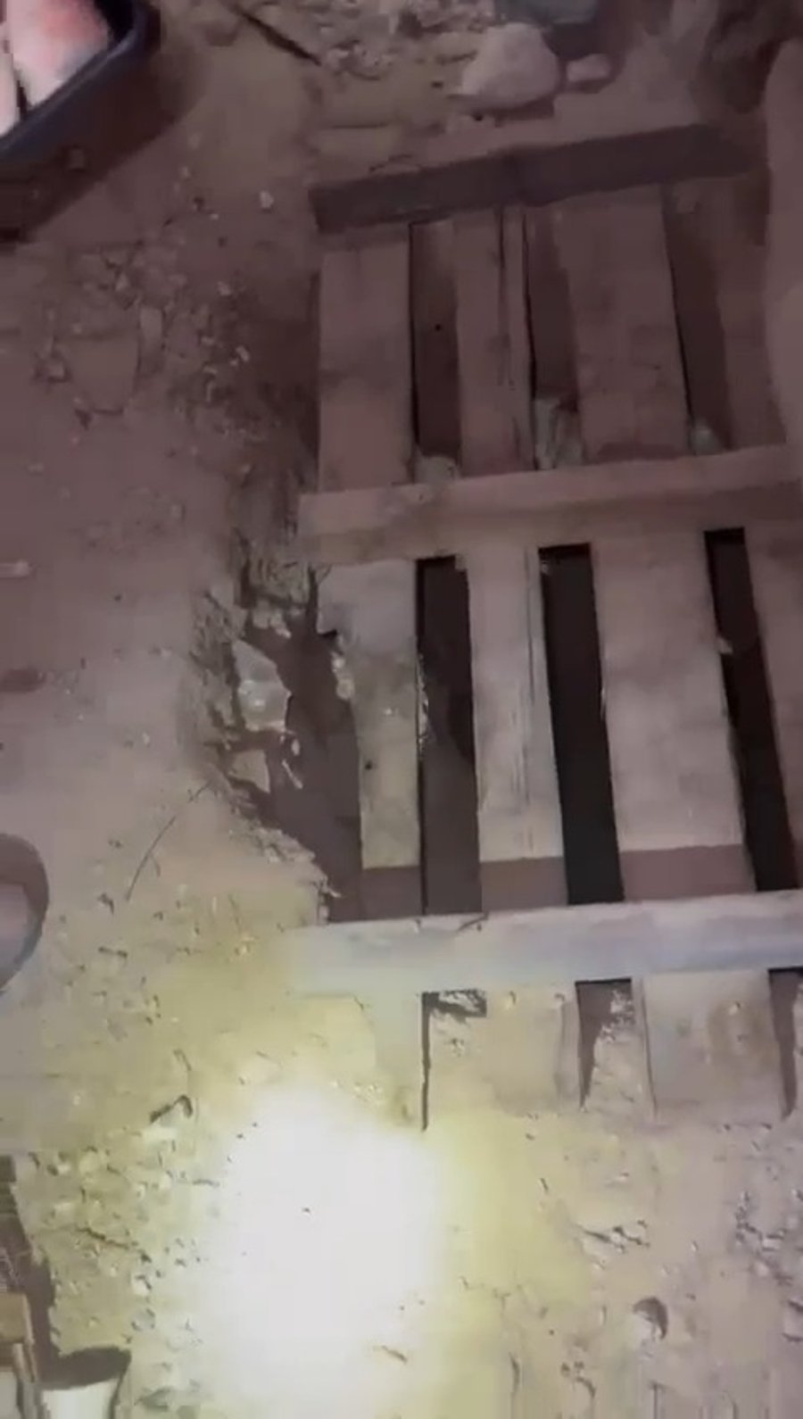 תיעוד איתור הבור שחפרה החולייה