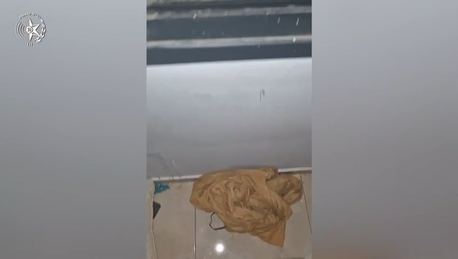 הפעילות הלילה