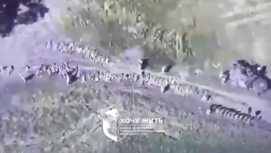 כמאה שבויים רוסיים בתוך מחוז קורסק