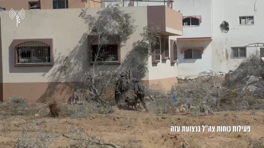 פעילות הכוחות בעזה