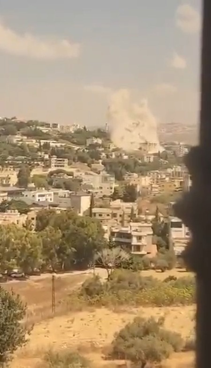 הסיכול הממוקד בנבטיה שבדרום לבנון