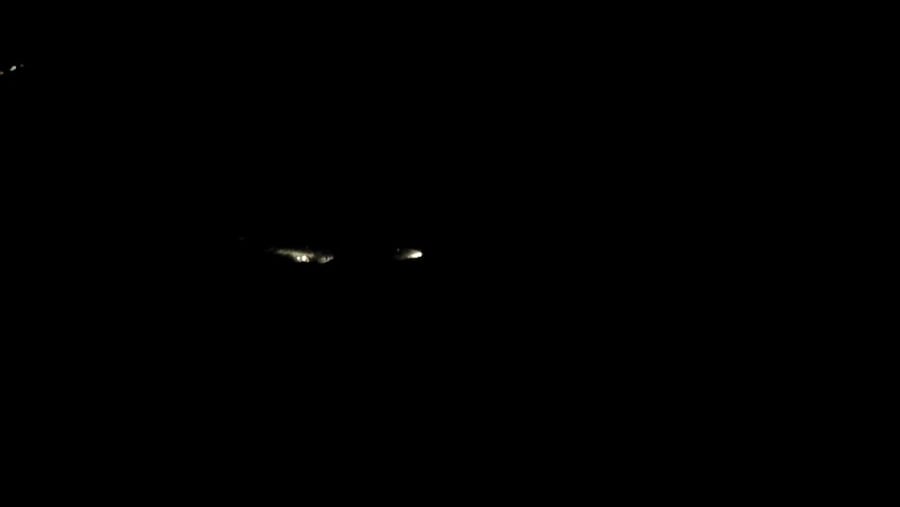 מאמצי החילוץ