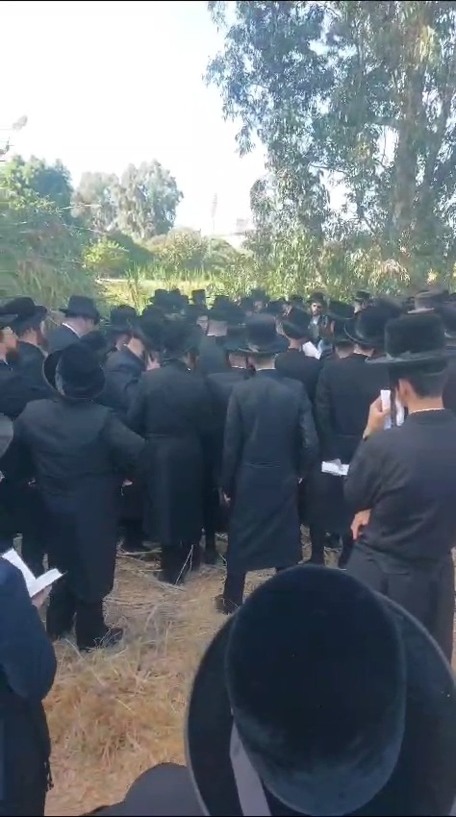 האדמו"ר מפרמישלן בתשליך