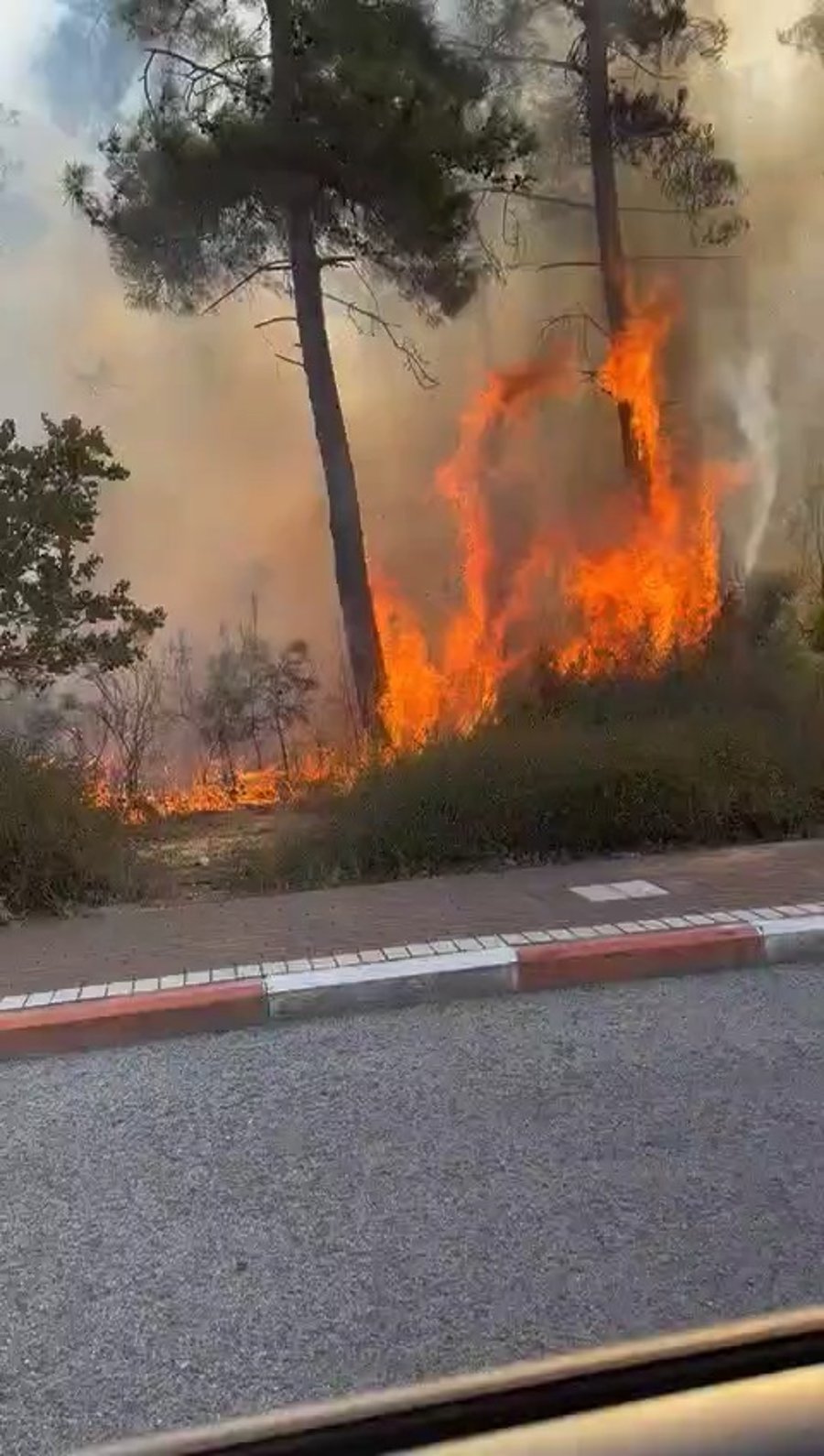 פגיעה ישירה בשלומי