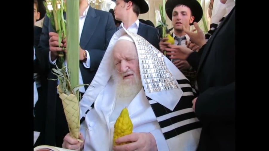 סוכות אצל הגר"מ שטרנבוך | תיעוד
