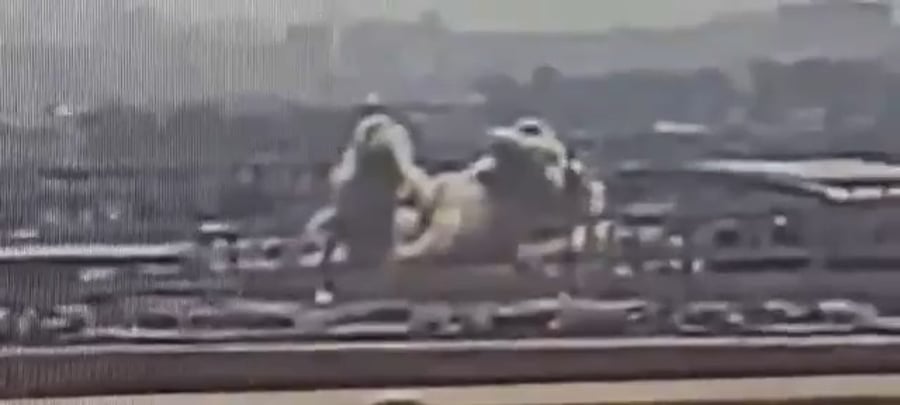 תיעוד רגע הנפילה בנתב"ג