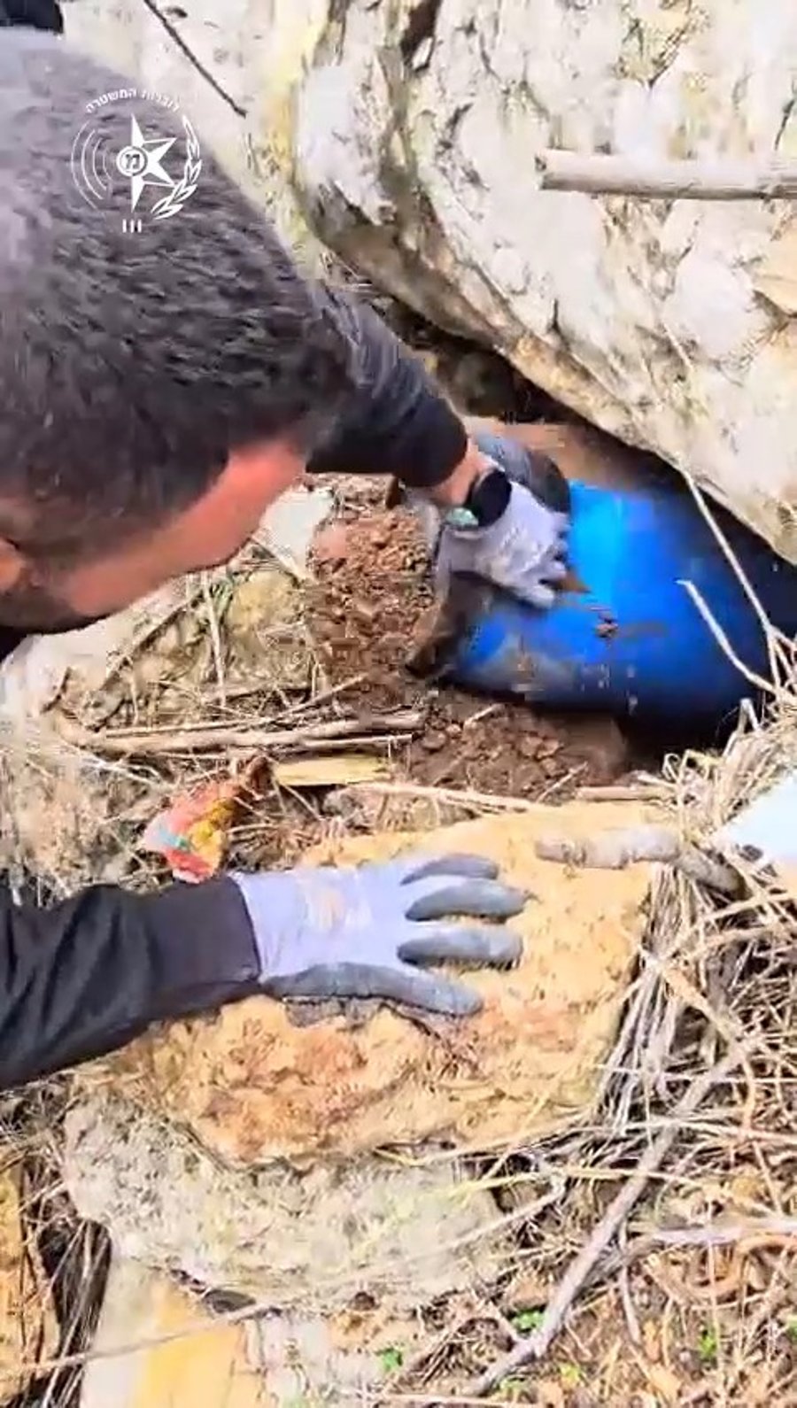 תיעוד הפעילות