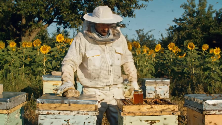 סרטון שיוצר גם הוא בVeo2