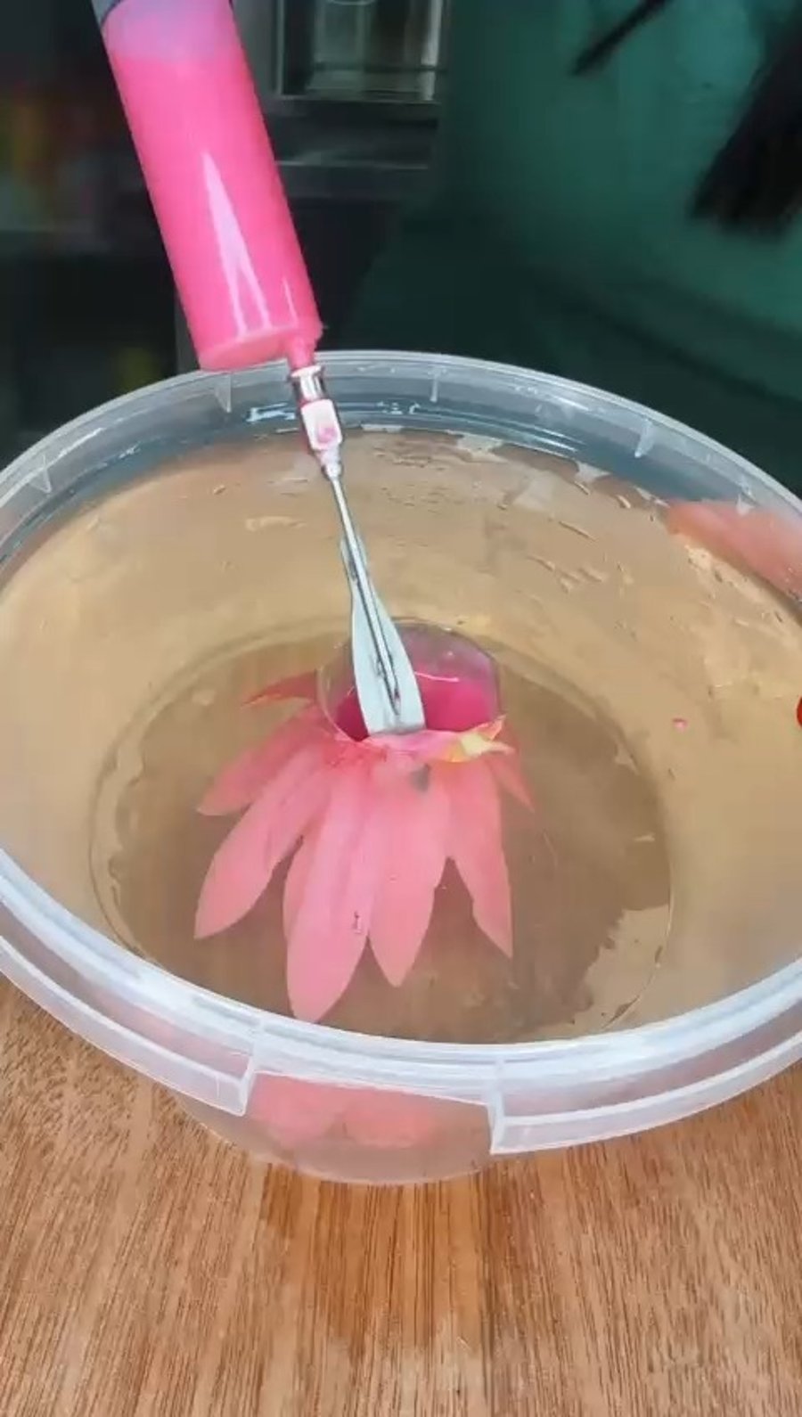 בטכניקות מדהימות היא יוצרת עוגות תלת ממד מרהיבות