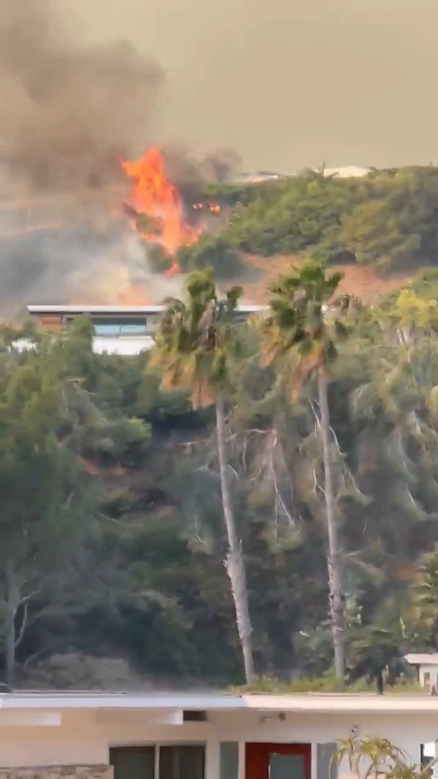 מראות השריפה בלוס אנג'לס