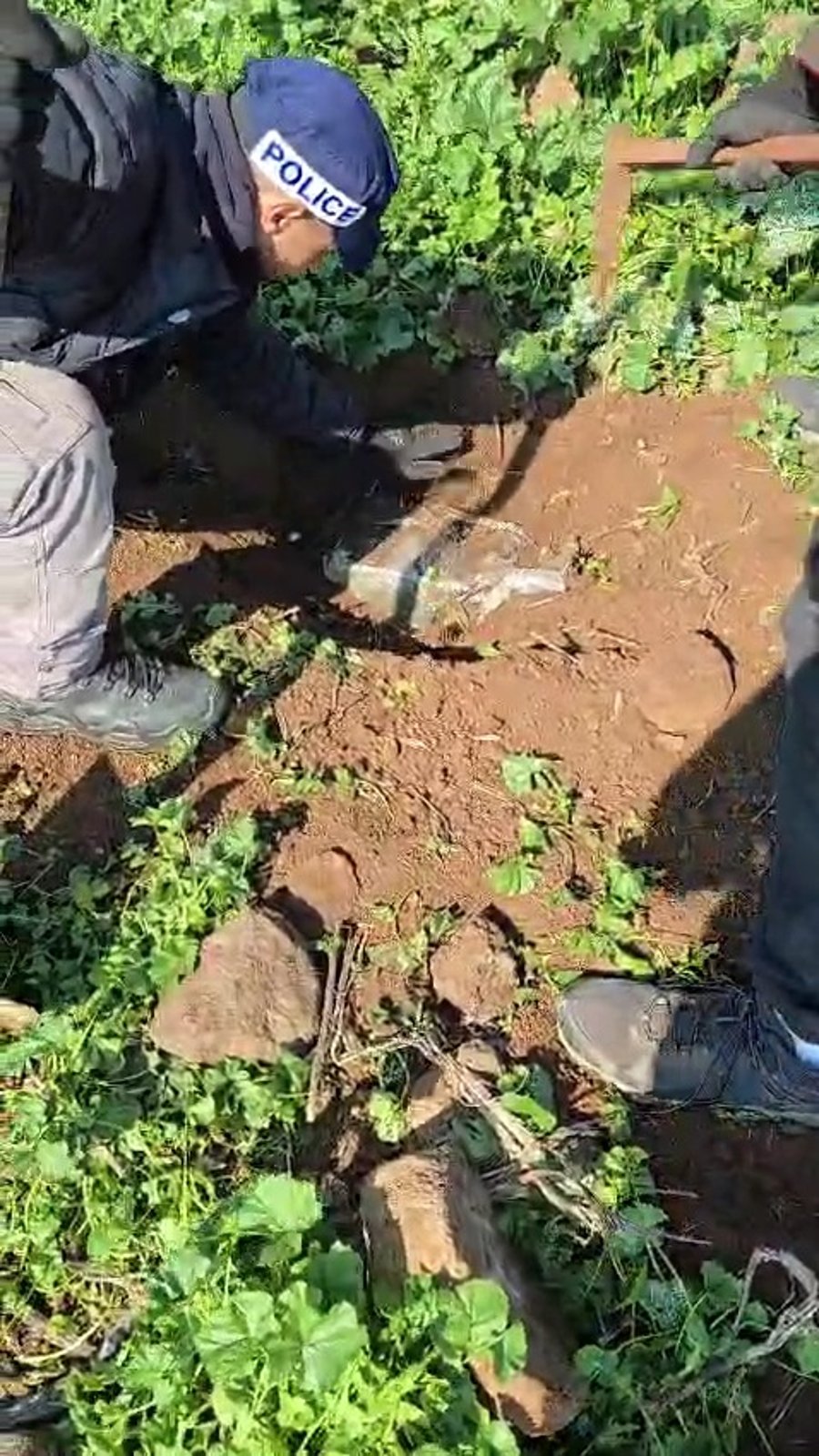 החיפושים ביישוב