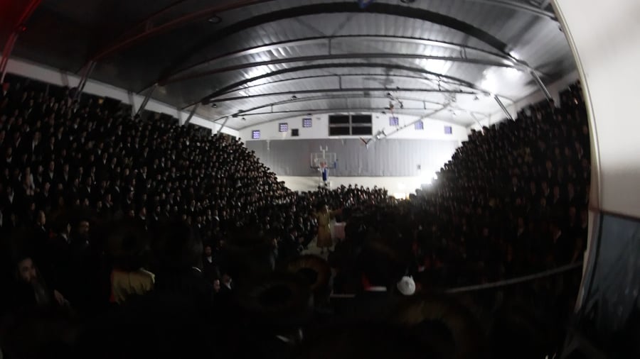 שמחת הפארשפיל