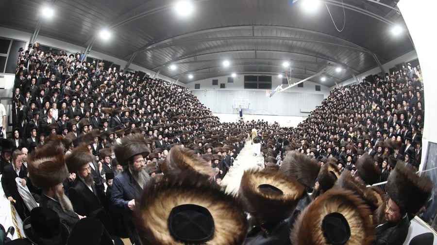 שמחת הפארשפיל