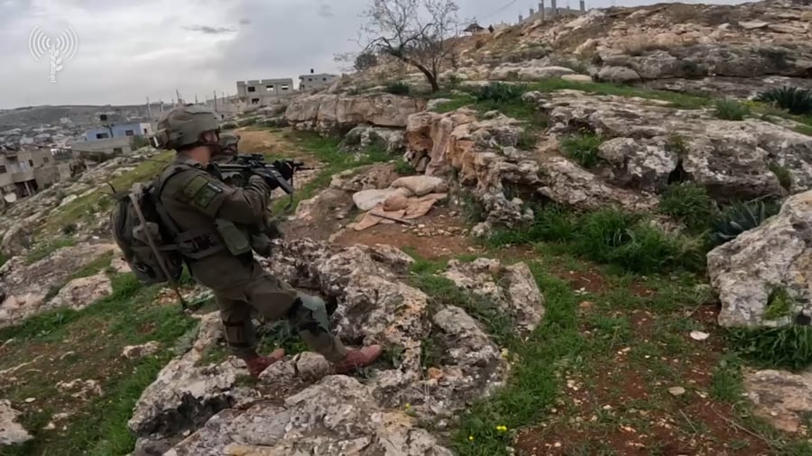 פעילות הלוחמים