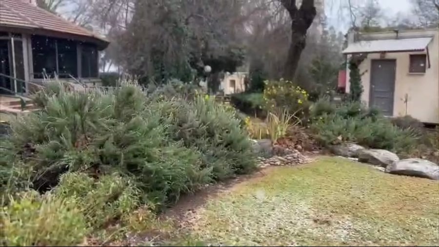 השלג הבוקר באורטל