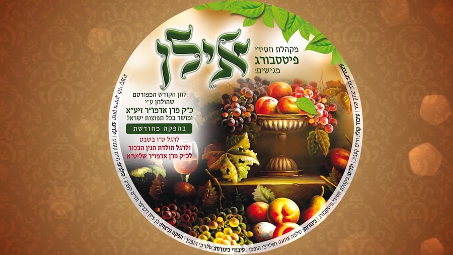 "אילן" מקהלת חסידי פיטסבורג