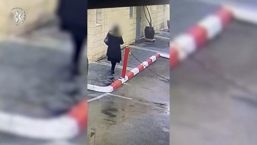 איתור הכסף | צפו