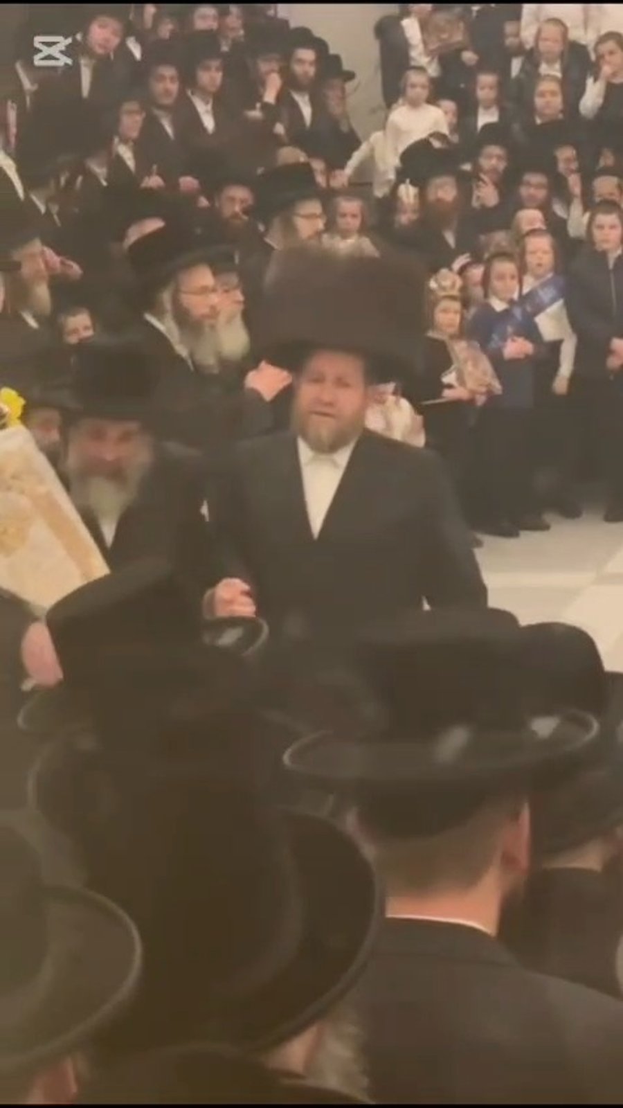 הכנסת ס"ת לביהמ"ד ויז'ניץ בורו פארק