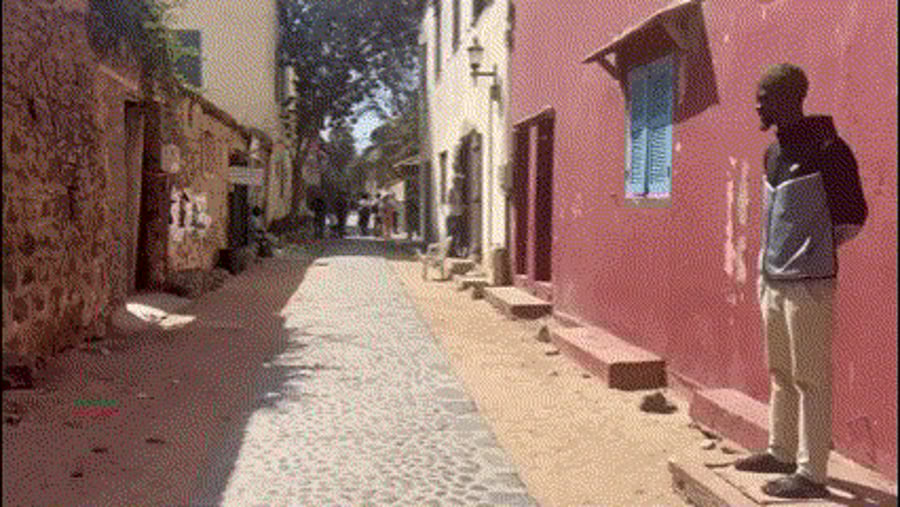 הביקור בסנגל