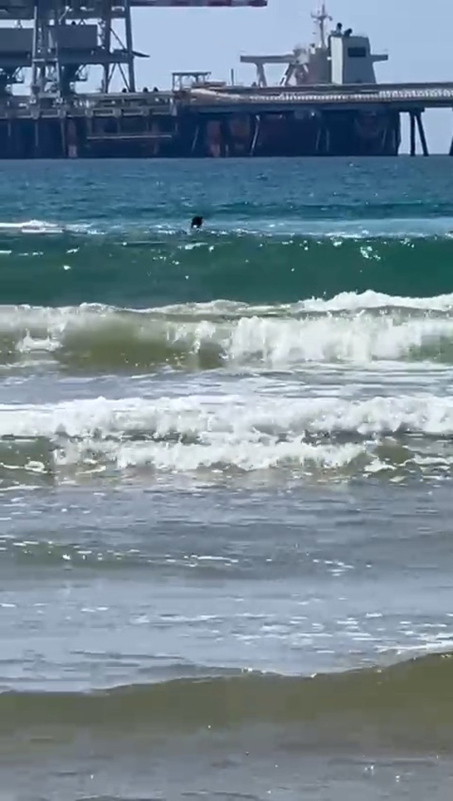 תיעוד התקיפה