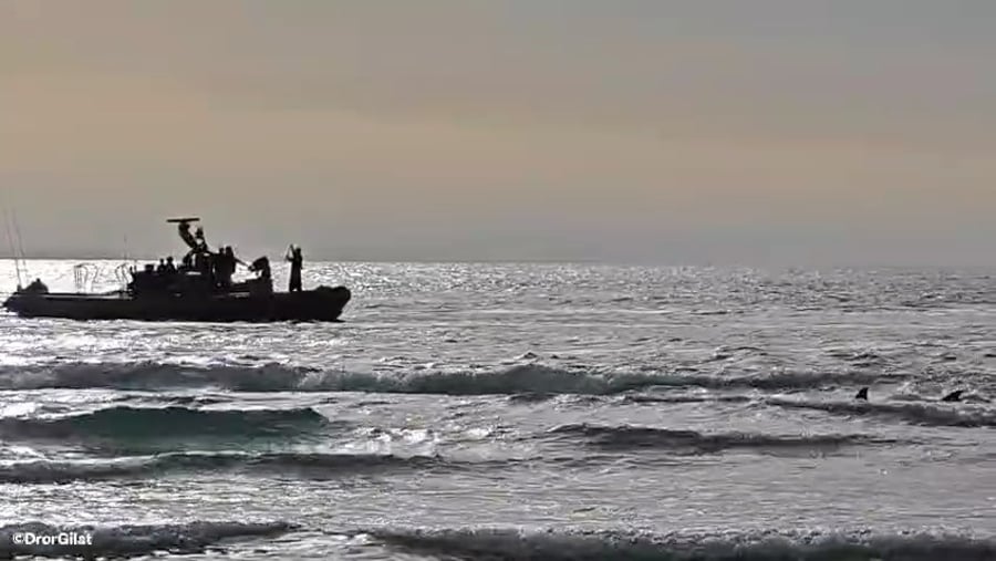 סריקות אחרי הנעדר 