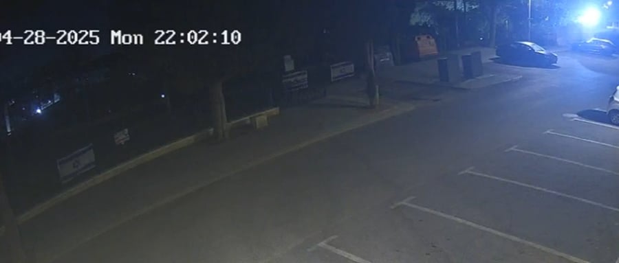 תיעוד השחתת הדגלים