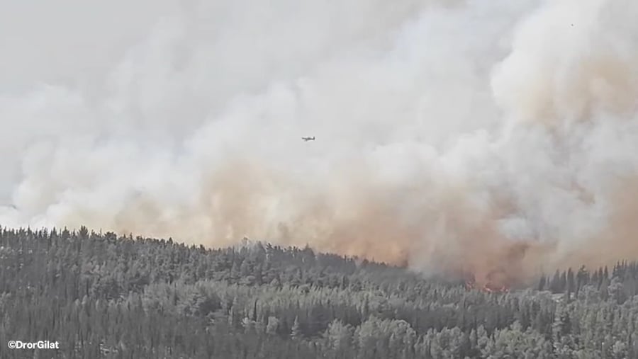 שריפת הענק באזור ירושלים