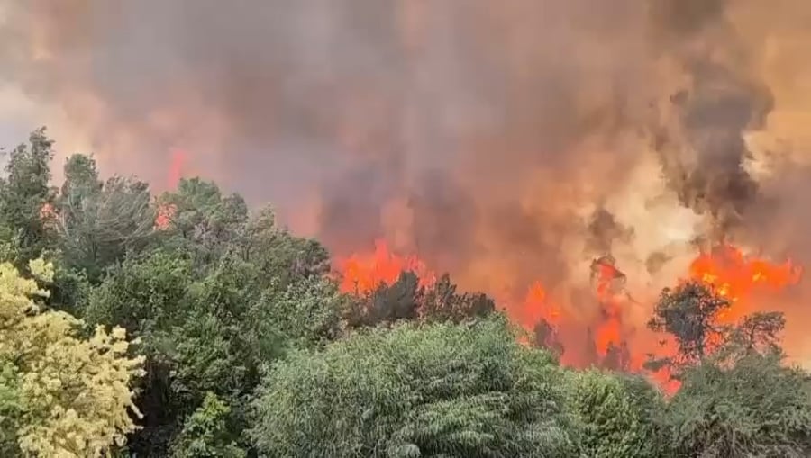 השריפה הקשה 