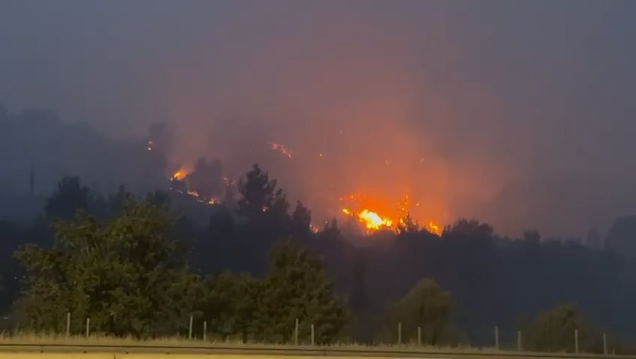 השריפה בהרי ירושלים