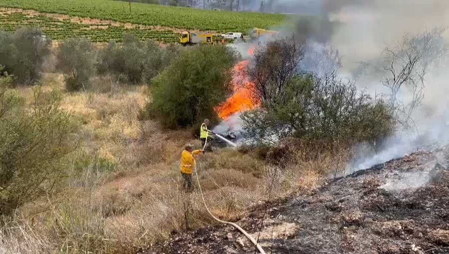 שריפת הענק היום 