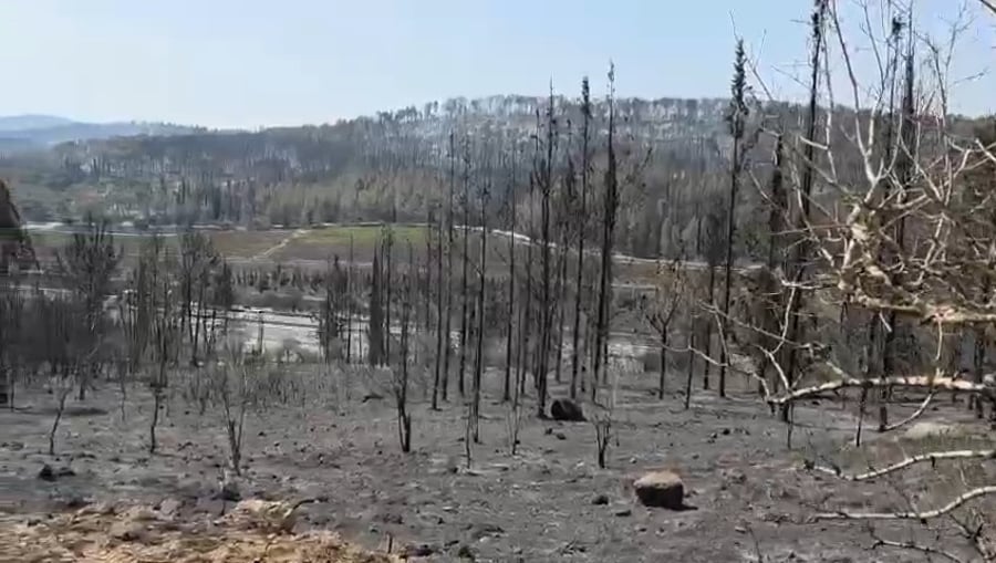 לוחמי האש בפעולה