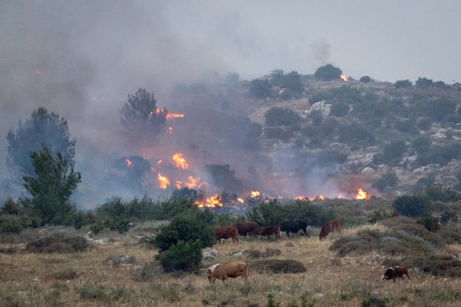 מאמצים לכיבוי השריפות