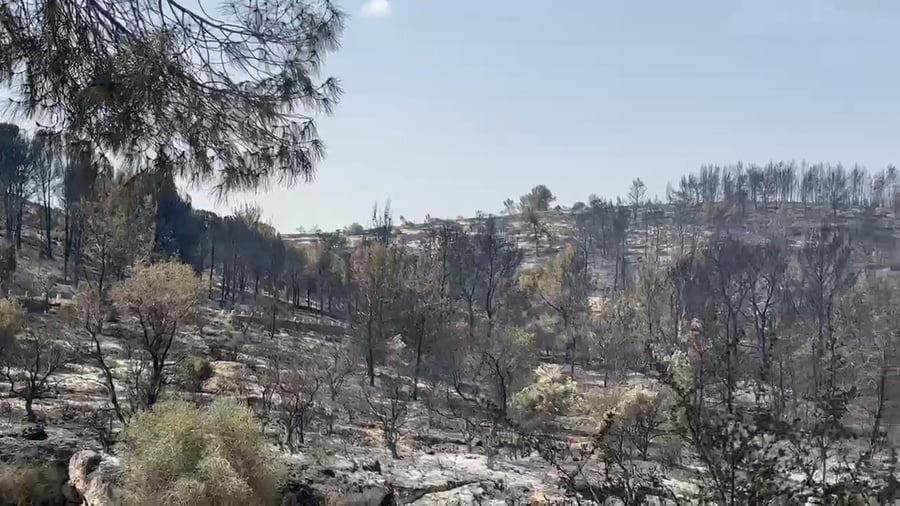 צוותי הכיבוי עדיין פועלים