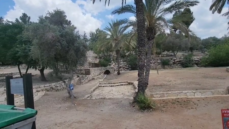 פארק קנדה - אחרי השריפה הגדולה