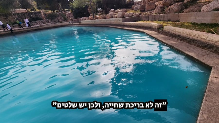 אגמון התמרים בפארק קנדה בערב חג הפסח
