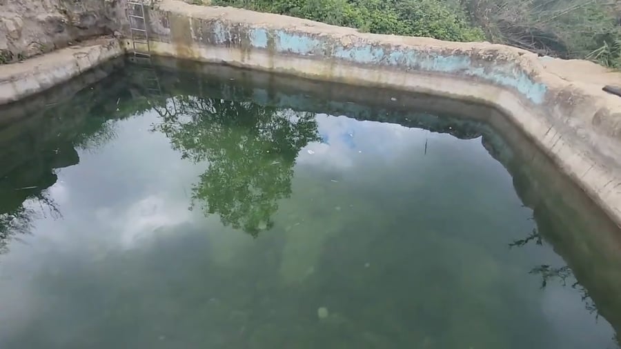 הסרטון שפרסם שפירא ברשתות החברתיות בחג פסח האחרון וגרם לסערה: "ליד שכונת קציני הרשות הפלסטינית הנטושה | מעין עמוק + כביש גישה חדש - מעיין חרשה המחודש"