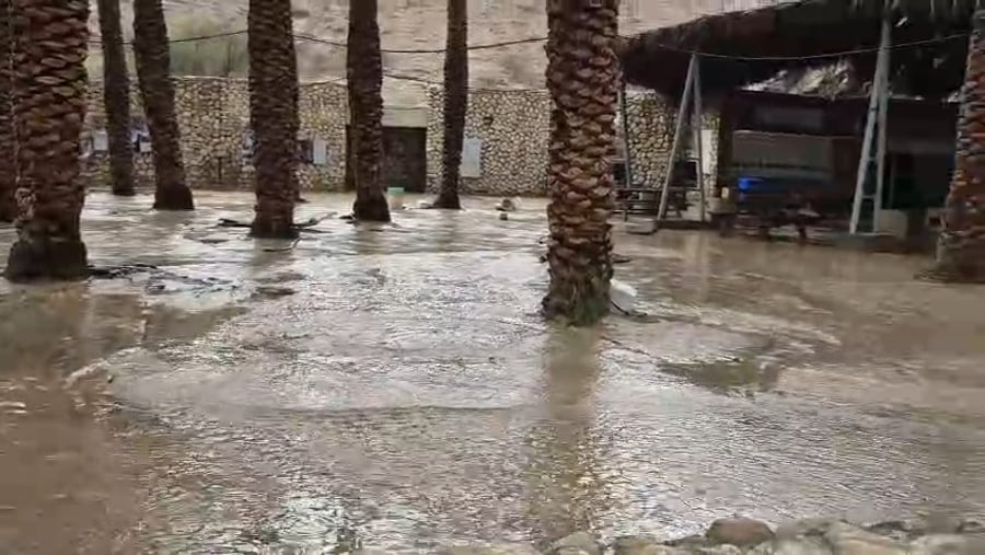 שטפון בכניסה לשמורת הטבע עין גדי