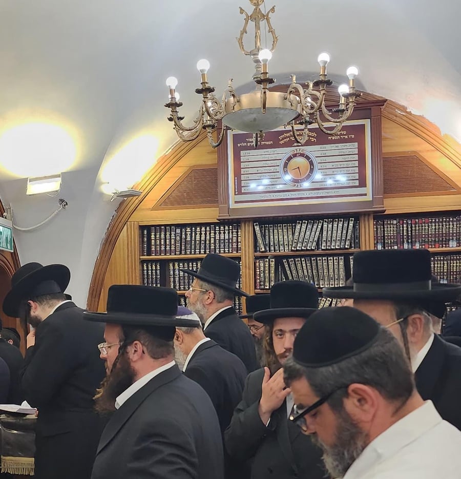זופניק בכיכר | כל התמונות, הנייעס והחשיפות של השבוע