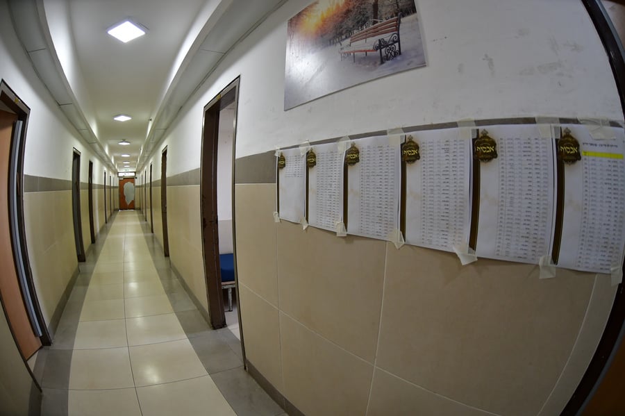 האדמו"ר משבט הלוי בשבת התאחדות בטלז סטון