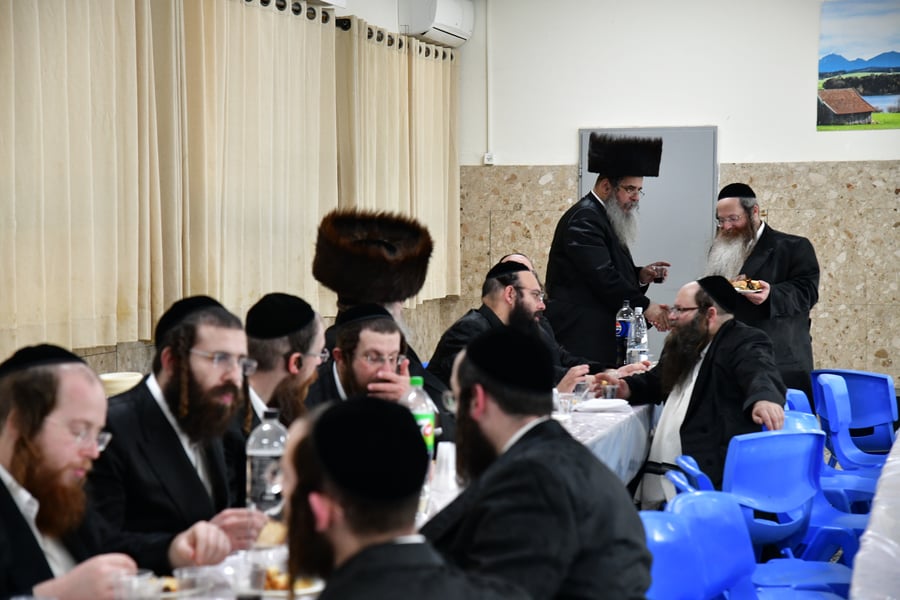 האדמו"ר משבט הלוי בשבת התאחדות בטלז סטון