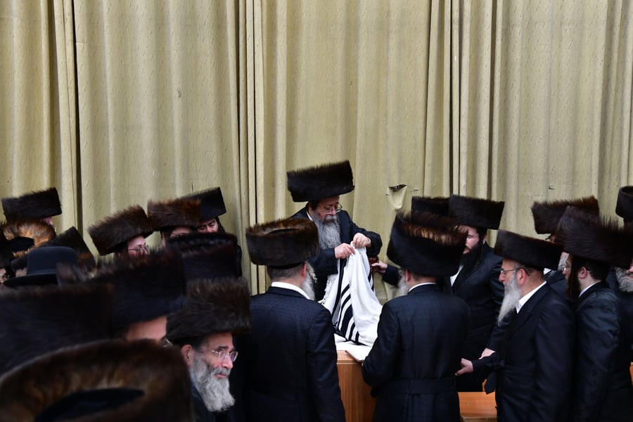 האדמו"ר משבט הלוי בשבת התאחדות בטלז סטון