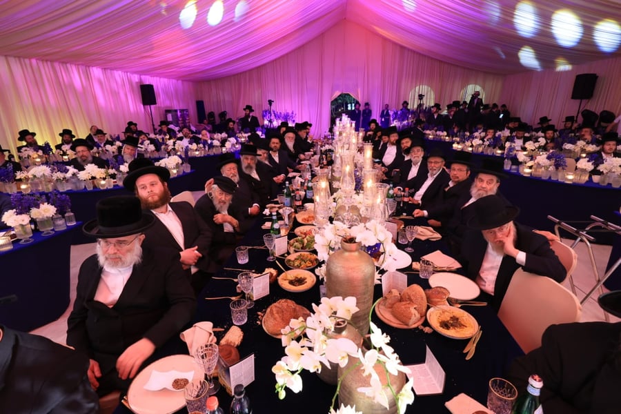 ועידת איגוד מוסדות ויז'ניץ