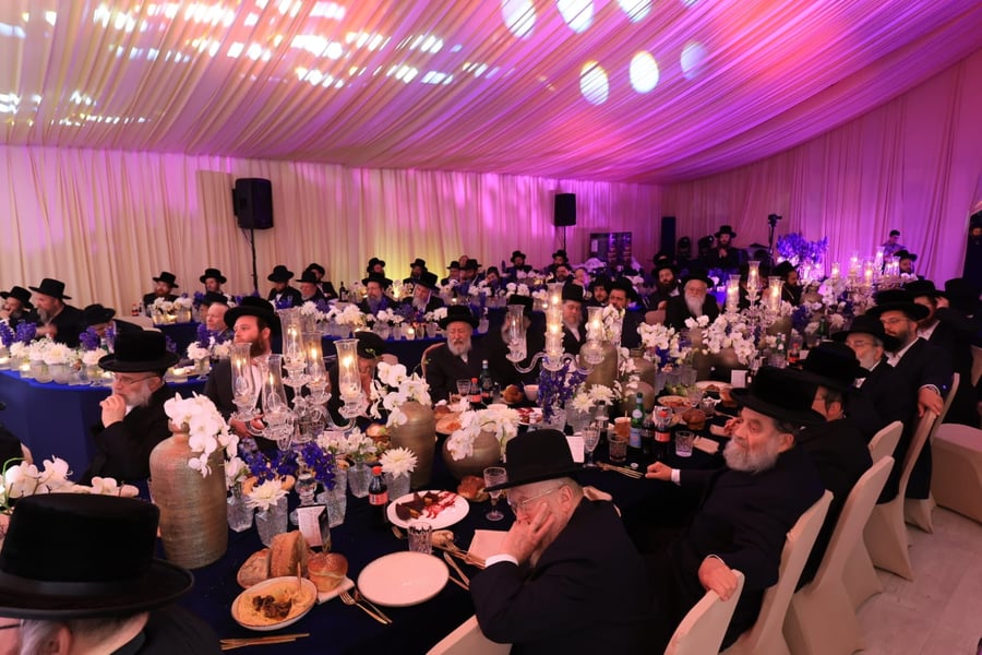 ועידת איגוד מוסדות ויז'ניץ