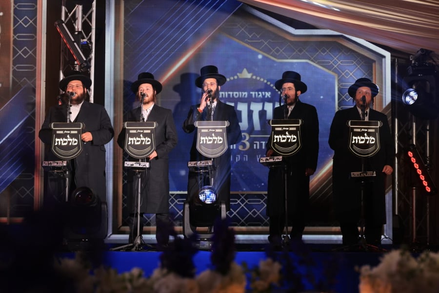 ועידת איגוד מוסדות ויז'ניץ