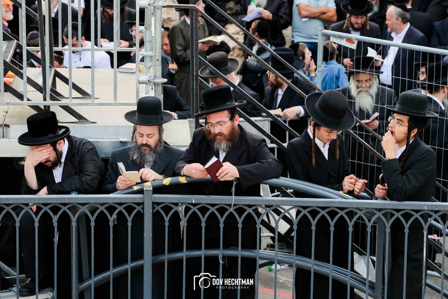 הרגע שפתח את אירועי מירון: כך הדליק האדמו"ר מבאיאן מעל הציון