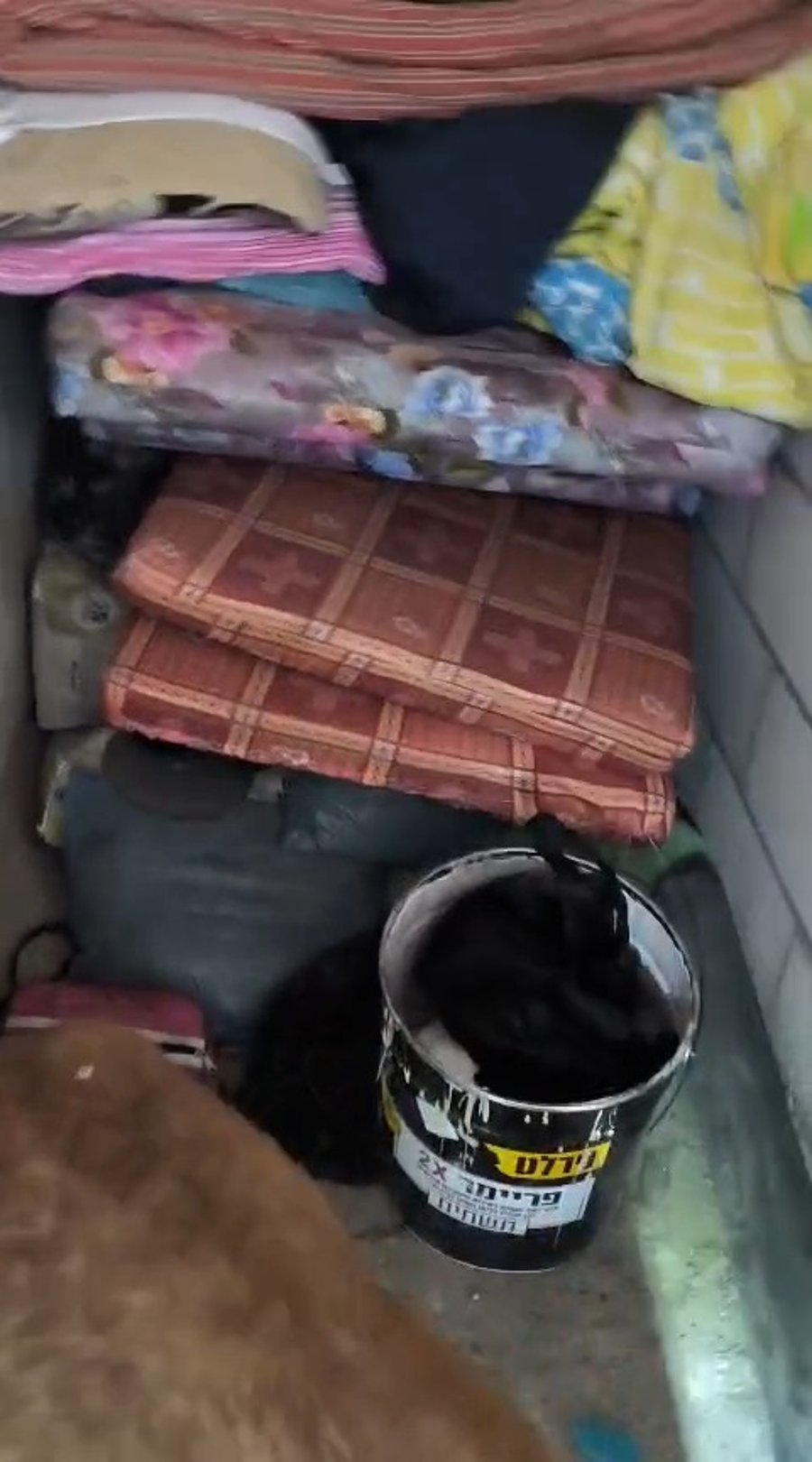 סיכול פשיעה בחברה הערבית