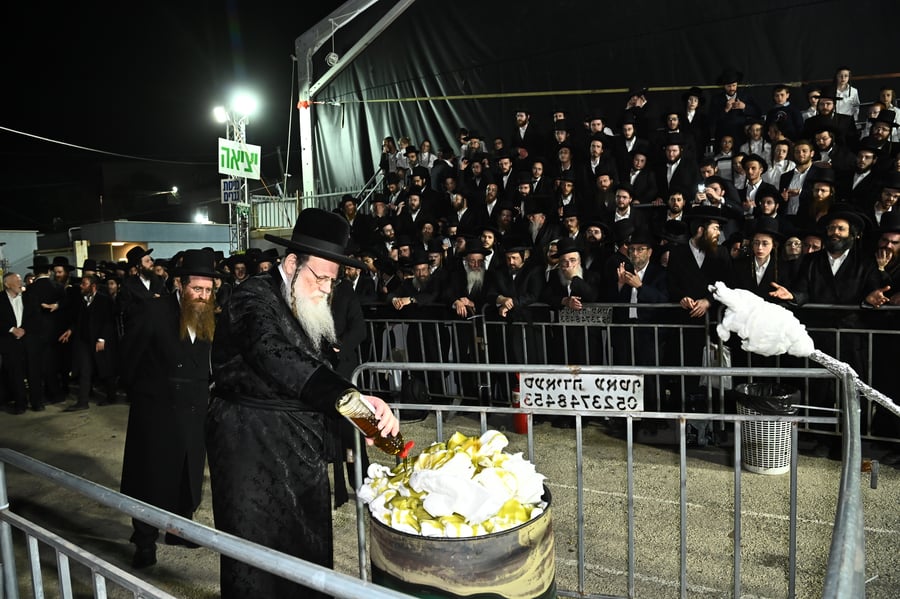 האדמו"ר ממודז'יץ בהדלקה ל"ג בעומר