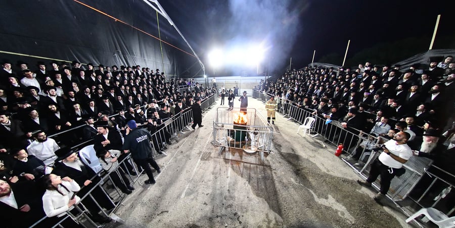 ל"ג בעומר בחצה"ק זוויעהיל
